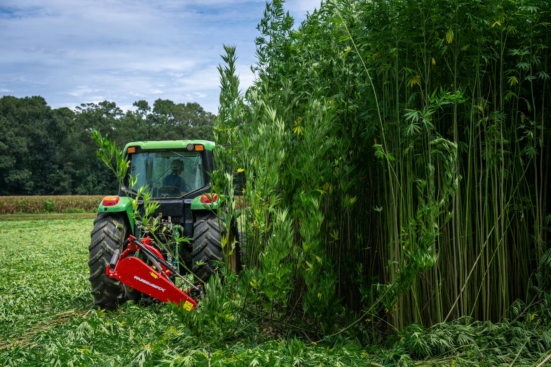 NCGA launches 2026 corn contest with short-season corn pi...